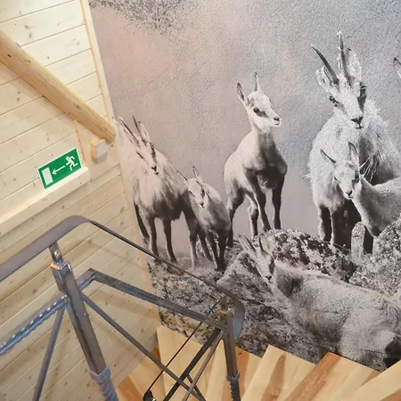 Widokowe Kowalski- Wooden Apartmants With View Apartamento Zakopane