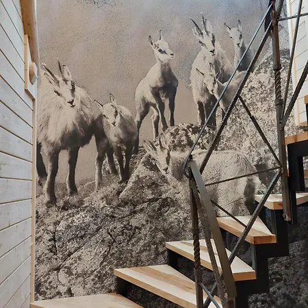 Apartamento Widokowe Kowalski- Wooden Apartmants With View Zakopane